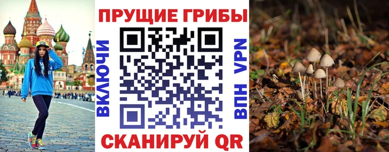 Галлюциногенные грибы Magic Shrooms Купить где Тихорецк
